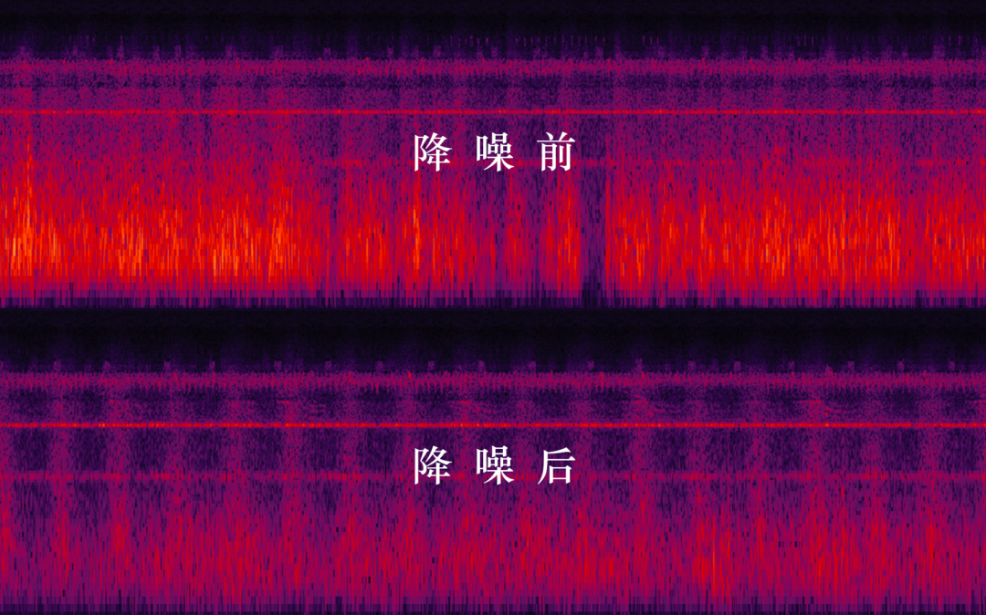 东升国际官网-追求康健,你我一起生长