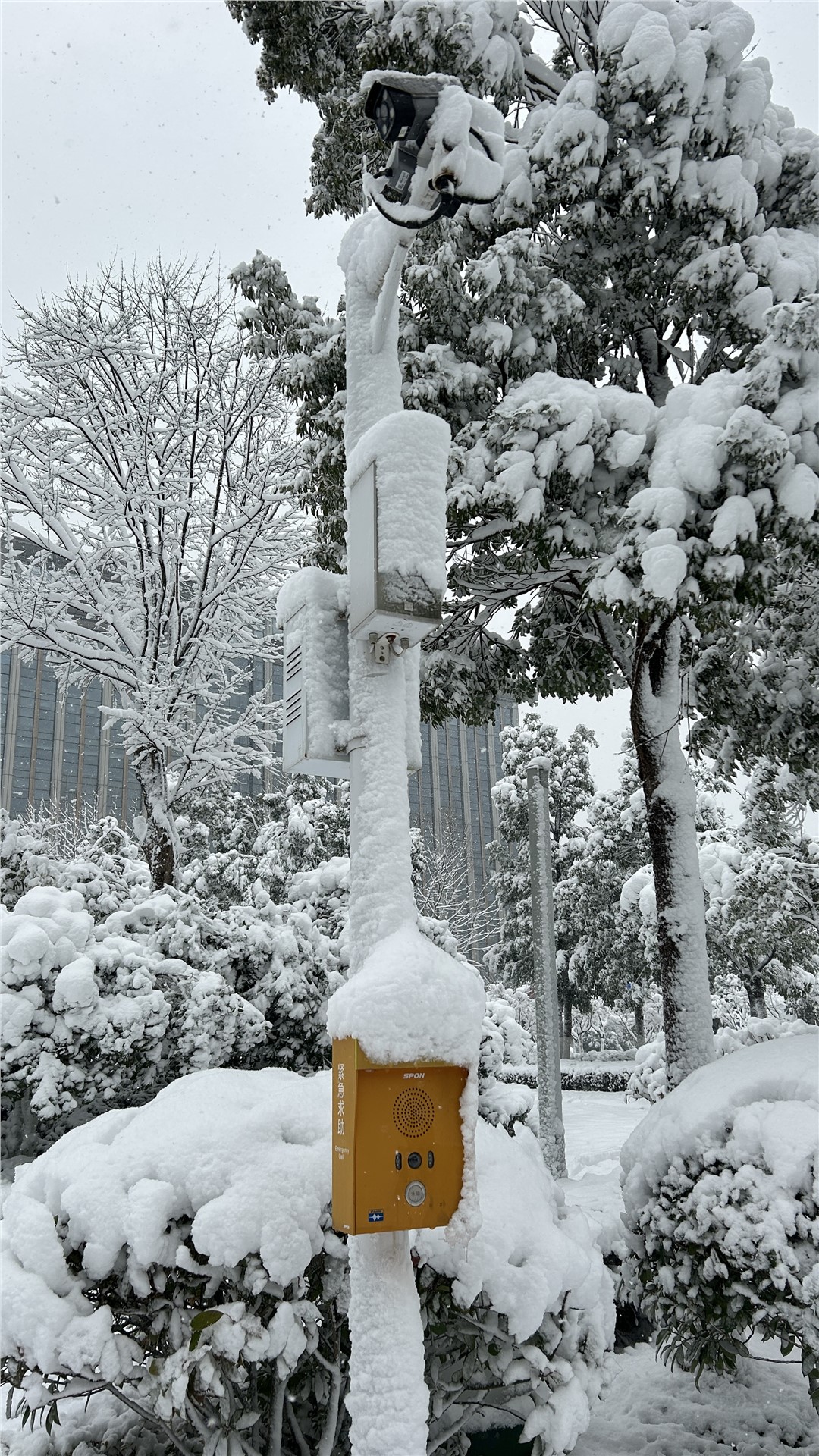 �������ʹ���-׷�󿵽�,����һ������