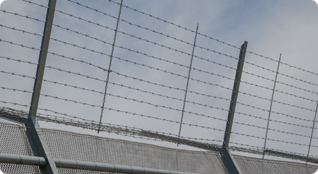 ˾����ҵ�ƻ�