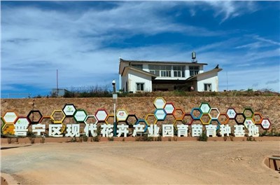 ���������¡��������µĴ��ǻ��������������������������ʹ����������Ͻ����߳������㡱�¸�·