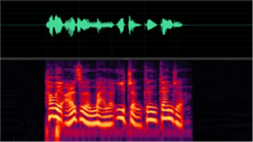 ȥ���������ܽ�