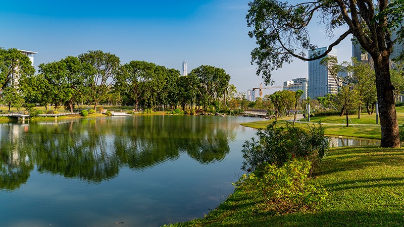 ���ڹ��幫԰-���ɶ������ʹ����㲥ϵͳ